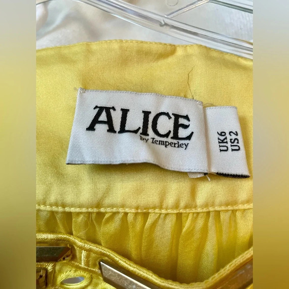 ALICE by Temperley Dress Size 2 Embellished Jeweled Neckline Sheer Retro Yellow - Picture 8 of 11